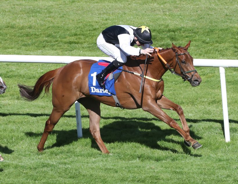 Selections for Cork – Aug. 14th 2026
