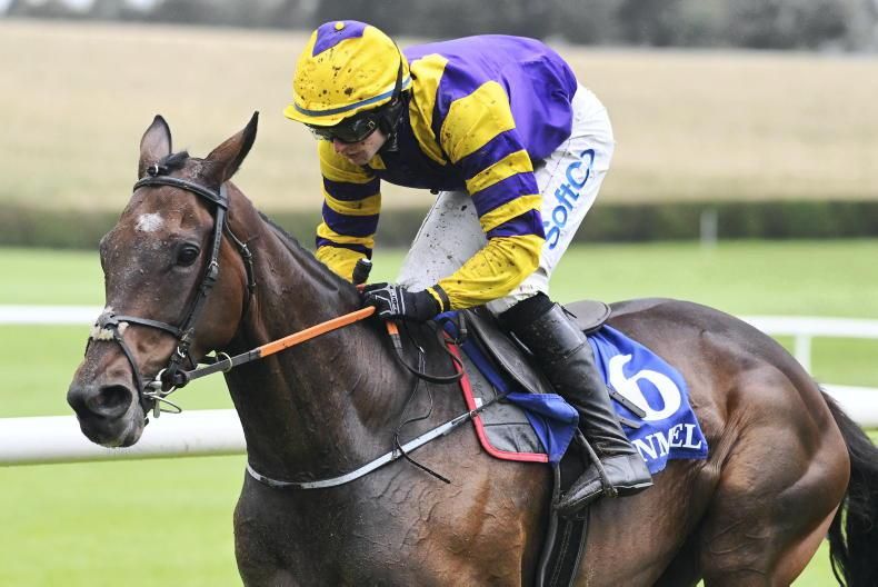 Selections for Listowel – Sept. 23rd 2026